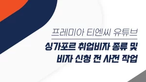싱가포르 취업비자 종류 및 비자 신청 전 사전 작업