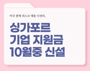 싱가포르 기업 지원금 신설