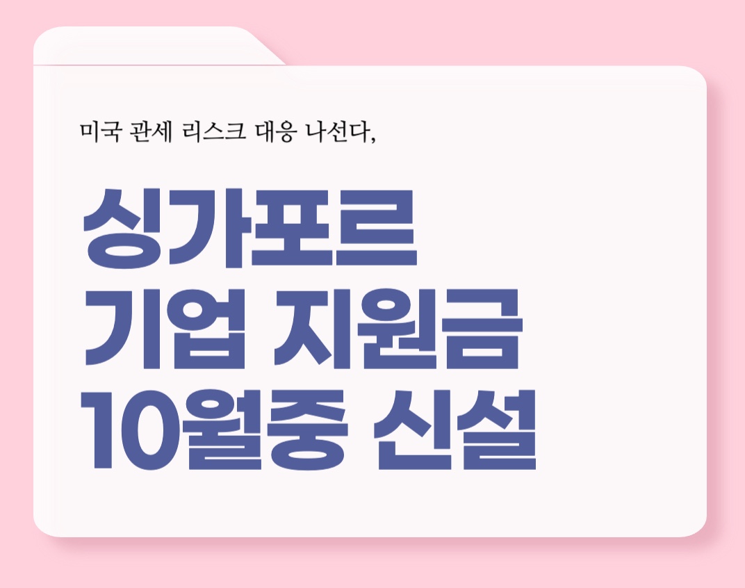 싱가포르 기업 지원금 신설