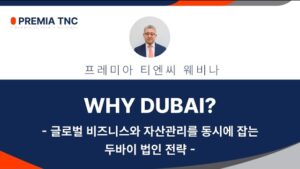 두바이 법인 전략