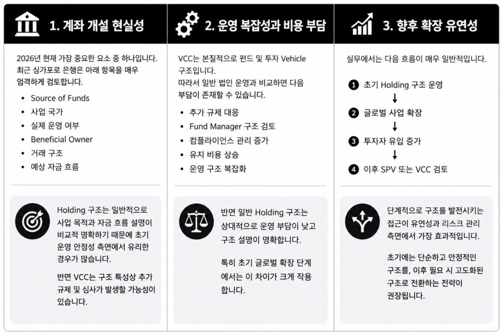 싱가포르 Holding 구조