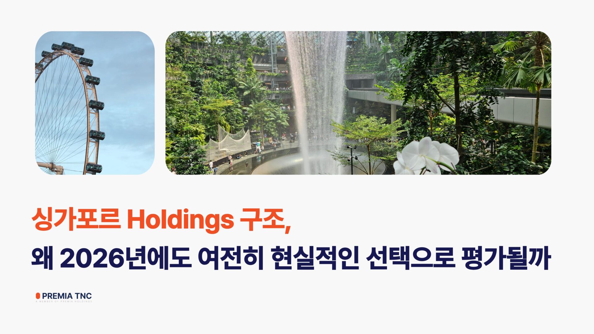 싱가포르 Holding 구조